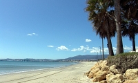 playapalmones3